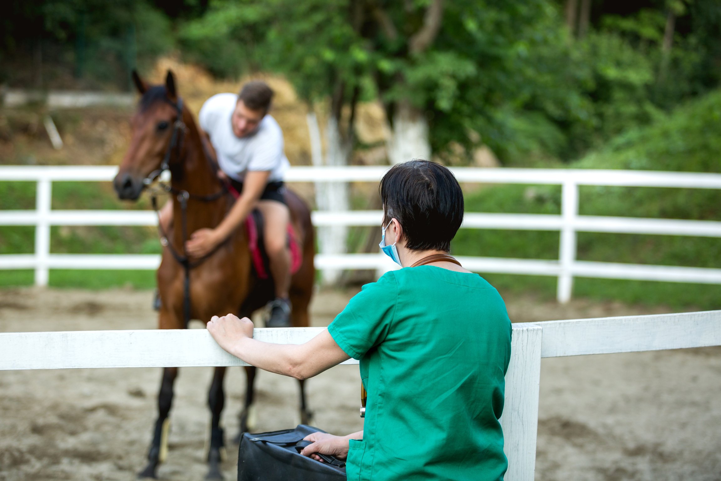 Vet and horse